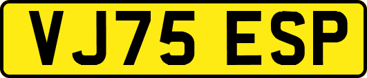 VJ75ESP