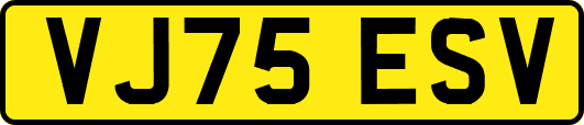 VJ75ESV
