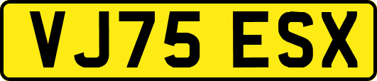 VJ75ESX