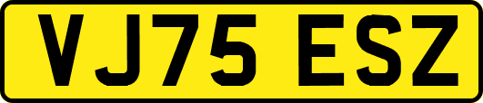 VJ75ESZ