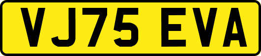 VJ75EVA
