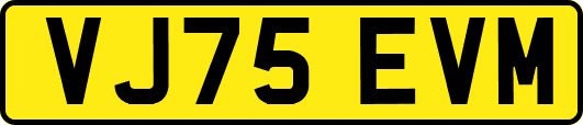 VJ75EVM