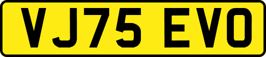 VJ75EVO