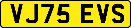 VJ75EVS