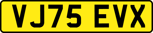 VJ75EVX