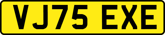 VJ75EXE