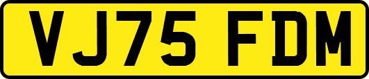 VJ75FDM