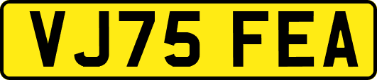VJ75FEA