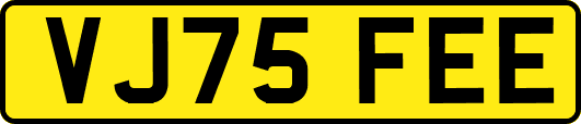 VJ75FEE