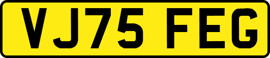 VJ75FEG