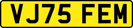 VJ75FEM