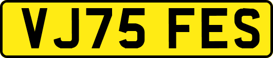VJ75FES