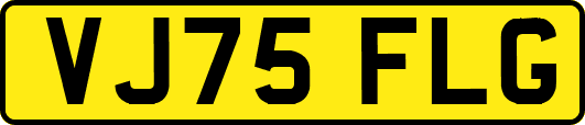 VJ75FLG