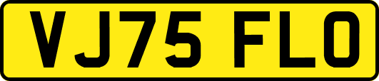 VJ75FLO