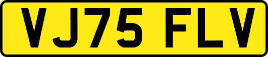 VJ75FLV