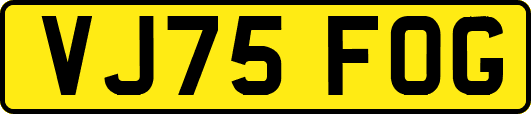 VJ75FOG