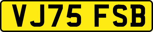VJ75FSB