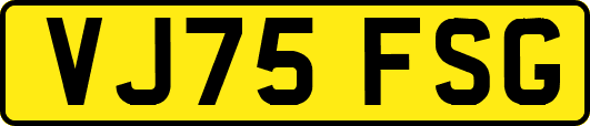 VJ75FSG