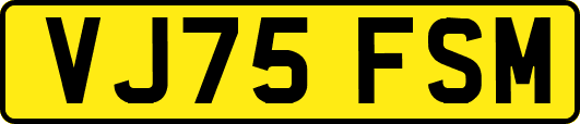 VJ75FSM