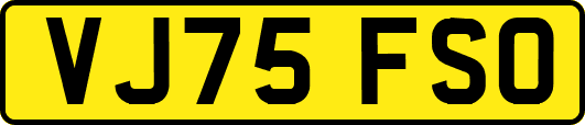 VJ75FSO