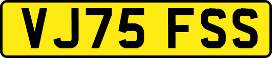 VJ75FSS