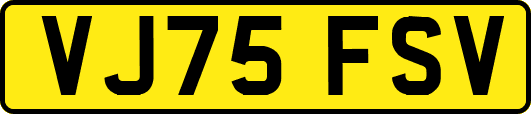 VJ75FSV