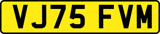 VJ75FVM