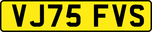 VJ75FVS