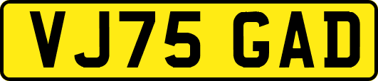VJ75GAD