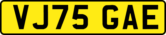 VJ75GAE