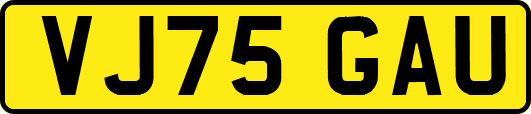 VJ75GAU