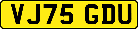VJ75GDU