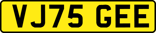 VJ75GEE