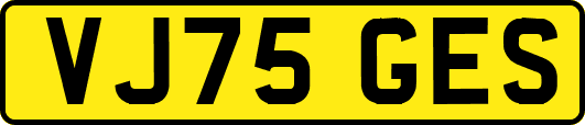 VJ75GES