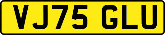 VJ75GLU