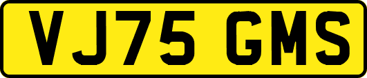 VJ75GMS