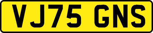 VJ75GNS
