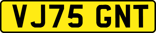 VJ75GNT
