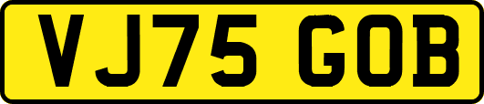 VJ75GOB