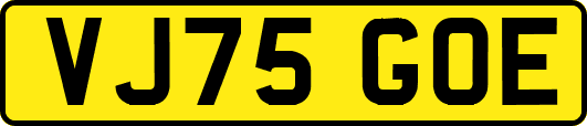 VJ75GOE