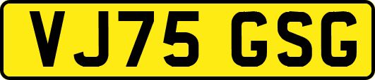 VJ75GSG