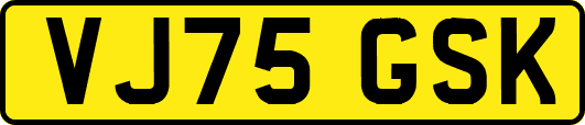 VJ75GSK