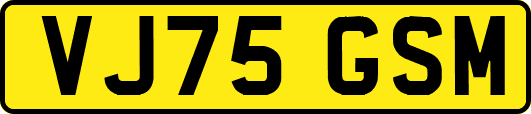 VJ75GSM