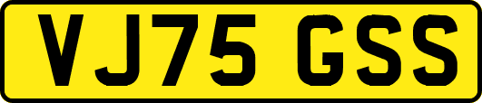 VJ75GSS