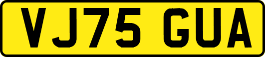 VJ75GUA