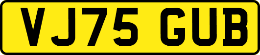 VJ75GUB