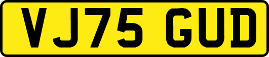 VJ75GUD