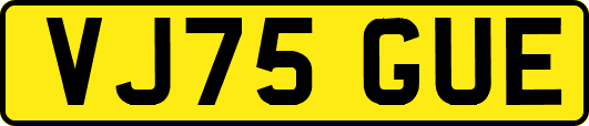 VJ75GUE