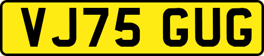 VJ75GUG