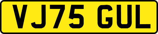 VJ75GUL